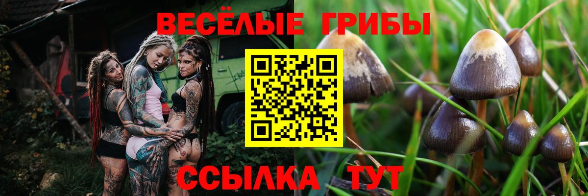 Псилоцибиновые грибы MAGIC MUSHROOMS Ивантеевка