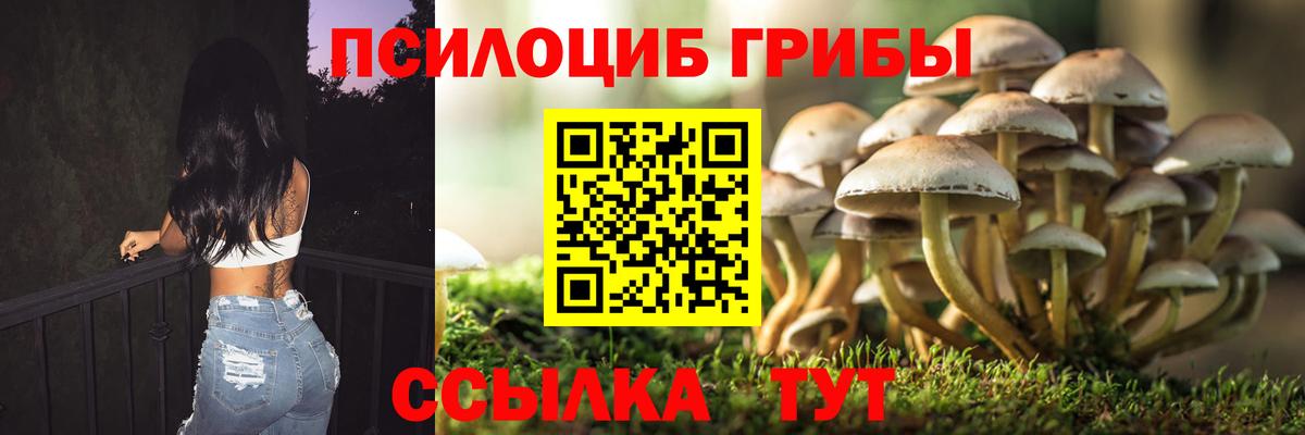 Ивантеевка  Псилоцибиновые грибы Psilocybine cubensis  Вход с VPN  дарнет шоп  Галлюциногенные грибы Psilocybe 